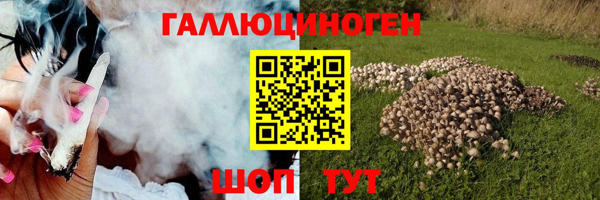 Псилоцибиновые грибы MAGIC MUSHROOMS  Вход с VPN  Гурьевск 